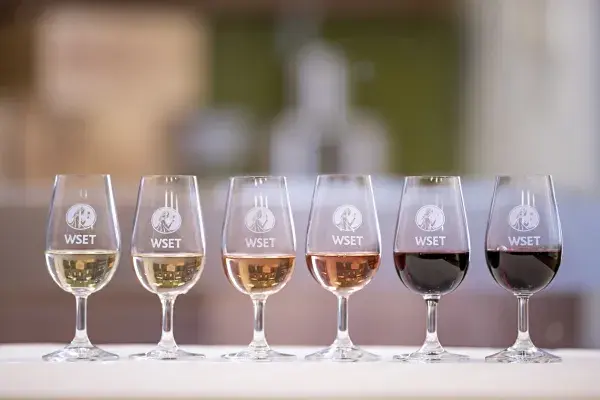 Wine WSET