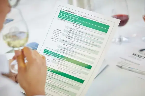 cualificación-de-nivel-3-en-vinos-wset