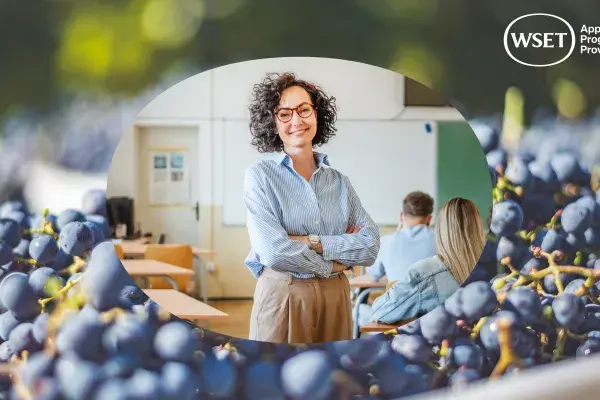 WSET education