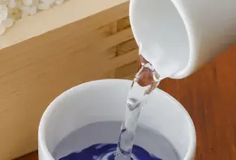 WSET L1 Sake