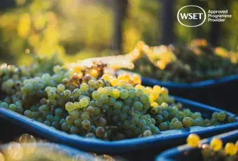 WSET 