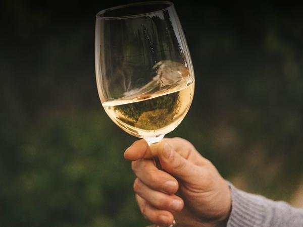 El Jerez está de regreso