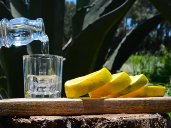 Las diferentes caras del Mezcal