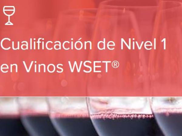 WSET Vinos nivel 1