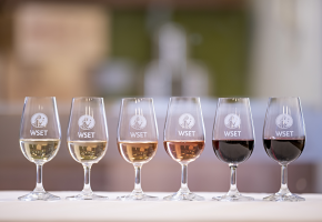 Wine WSET