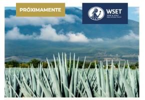 proximamente