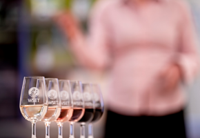 WSET Tasting Samples